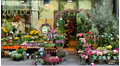 Fleuriste Paris X